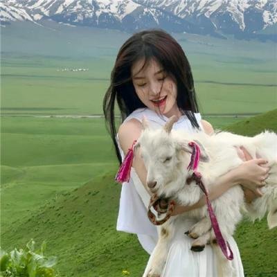 蝴蝶春梦 海报